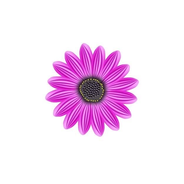 Fiore