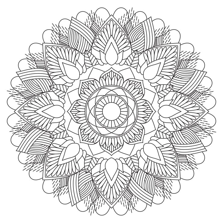 Fiori da colorare modello pagina interni KDP