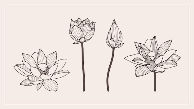 Fiori di loto o di giglio disegnati a mano