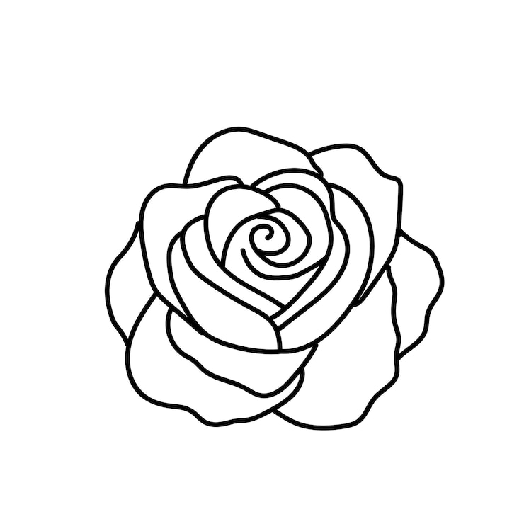 Vettore fiori di rosa a linea nera, silhouette di inflorescenza isolate su sfondo bianco