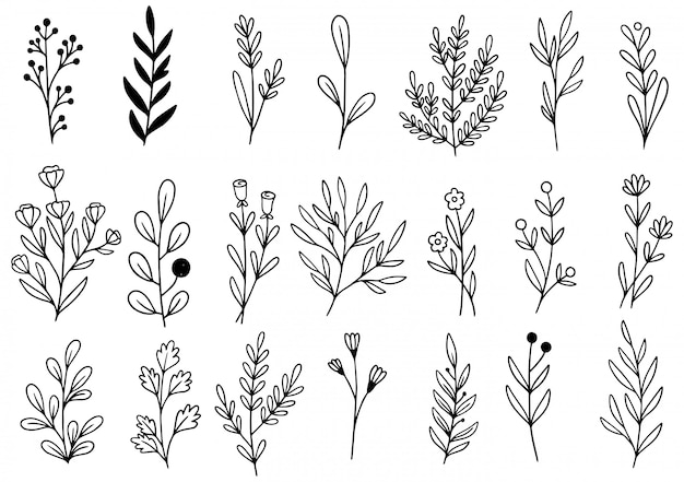 fiori disegnati a mano doodle