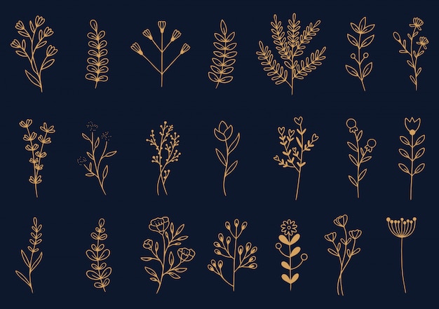 fiori disegnati a mano