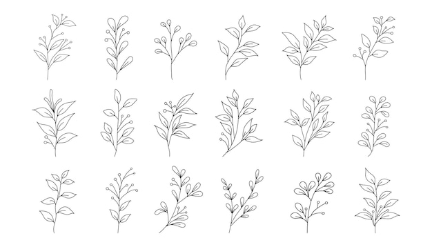 Fiori selvatici botanici moderni astratti doodle impostato su sfondo bianco