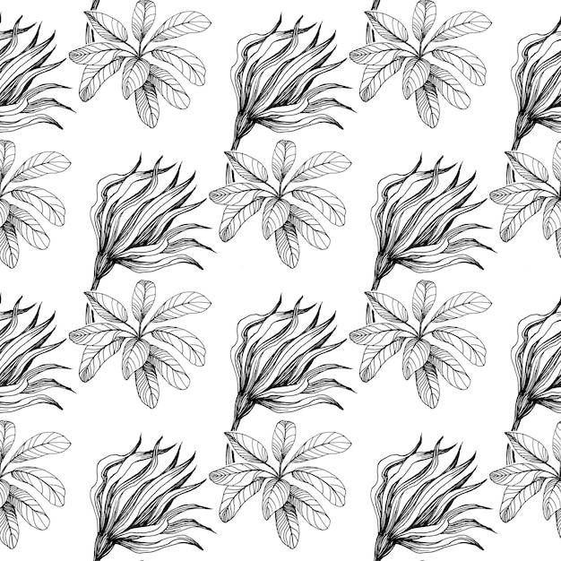 Fiori tropicali Arte dell'inchiostro inciso Motivo senza cuciture su sfondo nero Trama di stampa di carta da parati in tessuto Vettore