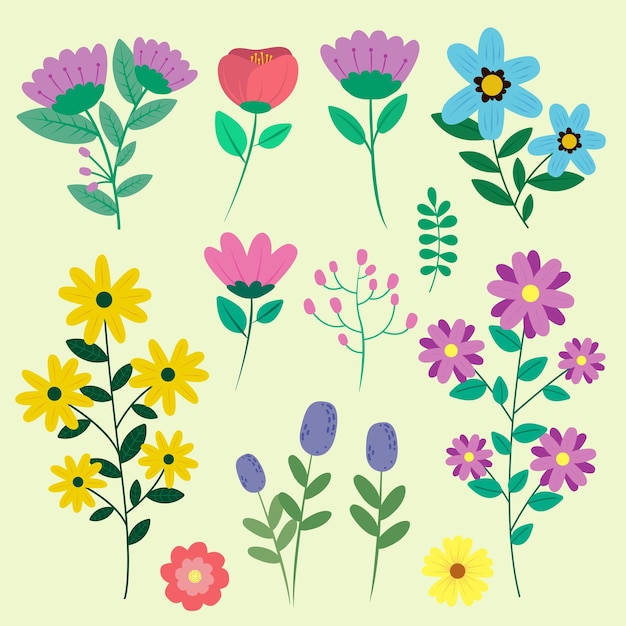 Fiori2