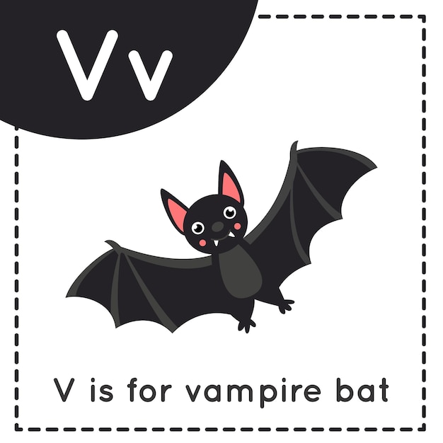 Flashcard alfabeto animale per bambini. Lettera di apprendimento V. V è un pipistrello vampiro.