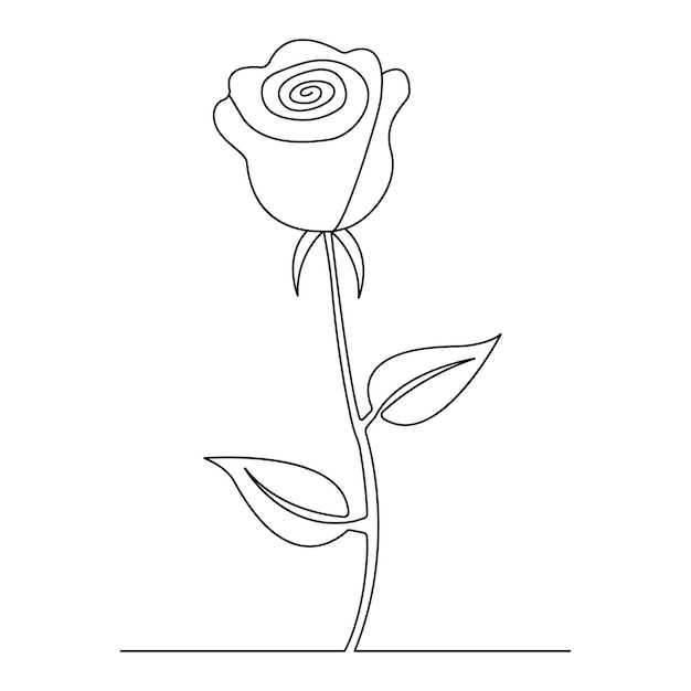 Flore di rosa Disegno continuo di una linea con tratto modificabile