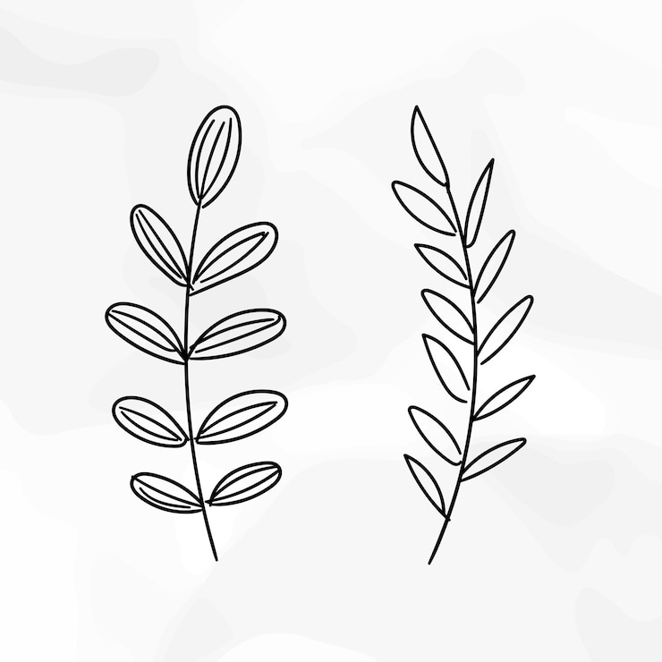 Vettore flore e foglie doodles lineart 8