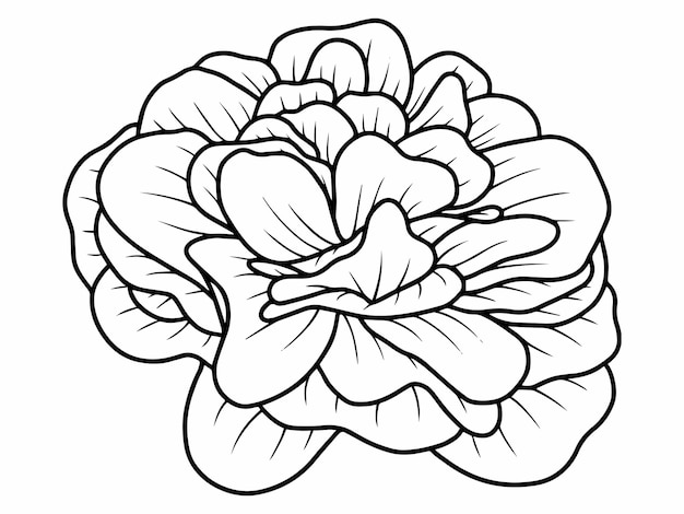 Flower Line Art