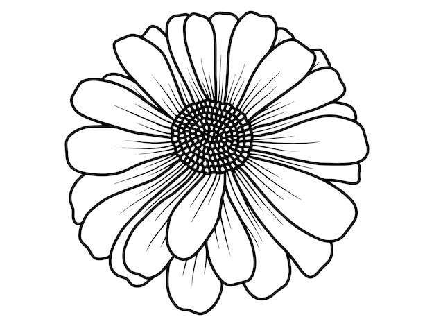 Flower Line Art