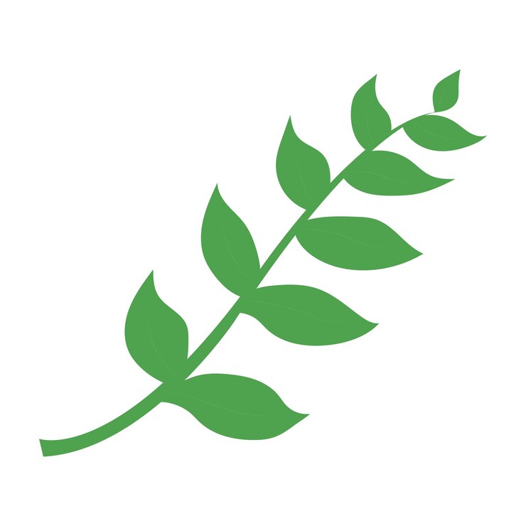 Vettore foglia clipart isolato su uno sfondo bianco.