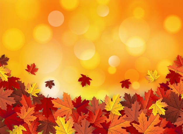 foglia d'acero, autunno bokeh sfondo