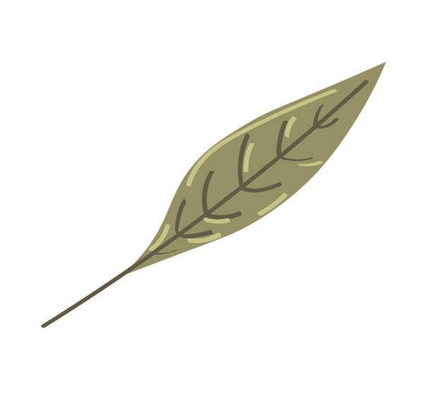 Foglia d'autunno su sfondo bianco. Illustrazione vettoriale