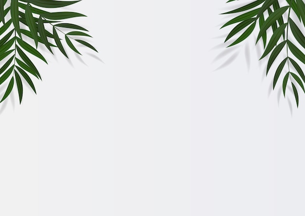 Foglia di palma verde realistica astratta tropicale