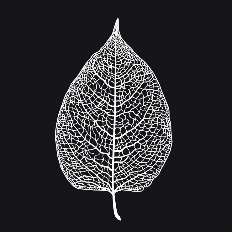 Foglia scheletrata vettoriale di un albero su sfondo nero