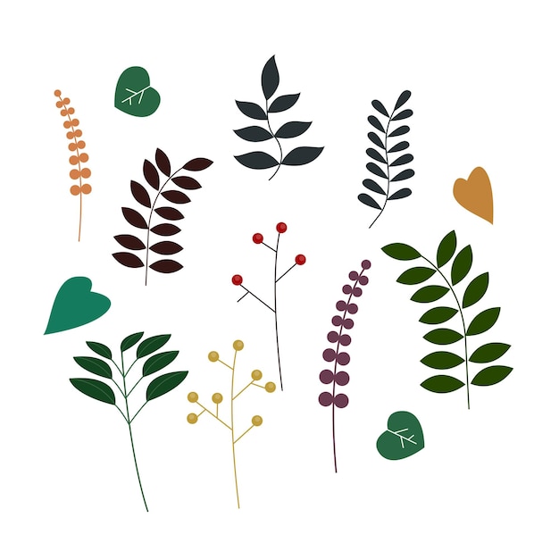 Foglie, alberi, piante domestiche