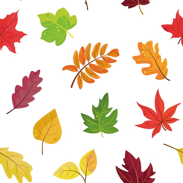 Foglie d&#39;autunno vettore libero