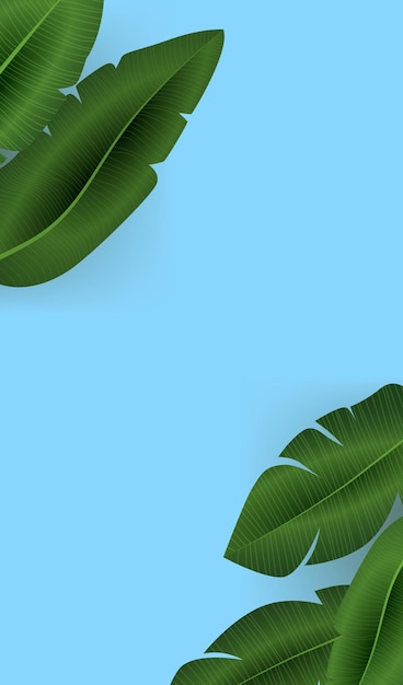 Foglie di banane tropicali su sfondo blu natura estiva vegetazione fogliame confine disegno botanico