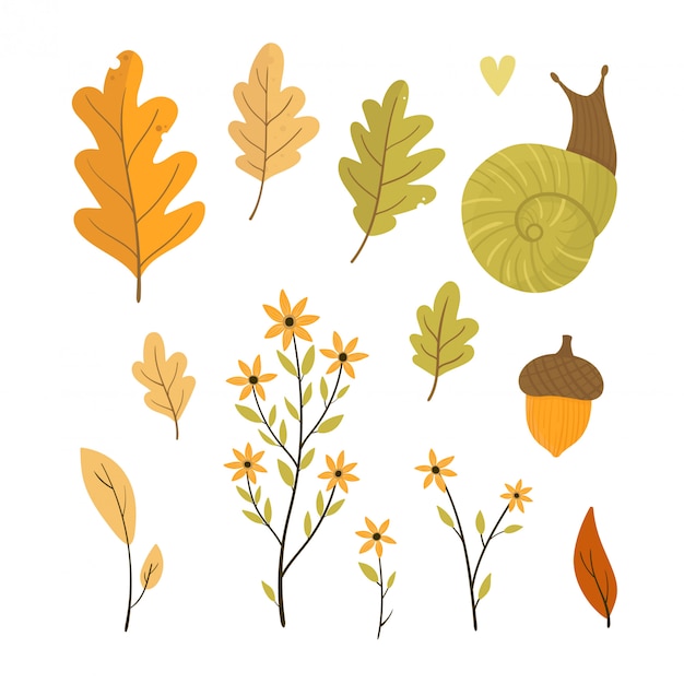 Foglie di illustrazione autunno, fiori, lumaca ..