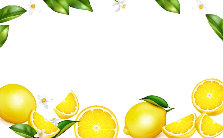 Vettore foglie di limone fresche sbocciano frutti interi quarti a metà su sfondo decorativo bianco confine composizione realistica illustrazione vettoriale