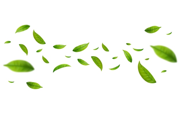 Foglie di tè verde realistiche in movimento