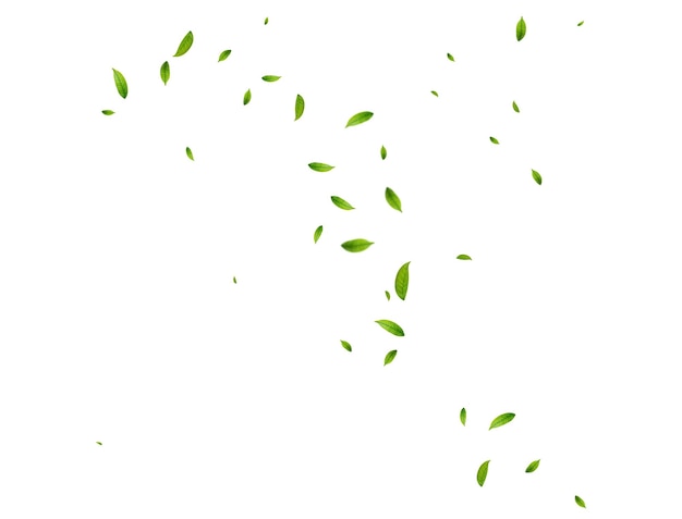 Foglie di tè verde realistiche in movimento