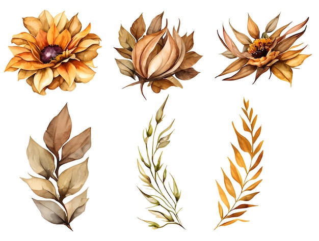 foglie e fiori autunnali elementi dell'acquerello