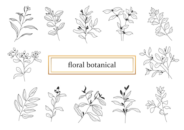 Foglie e fiori botanici disegnati a mano per la decorazione
