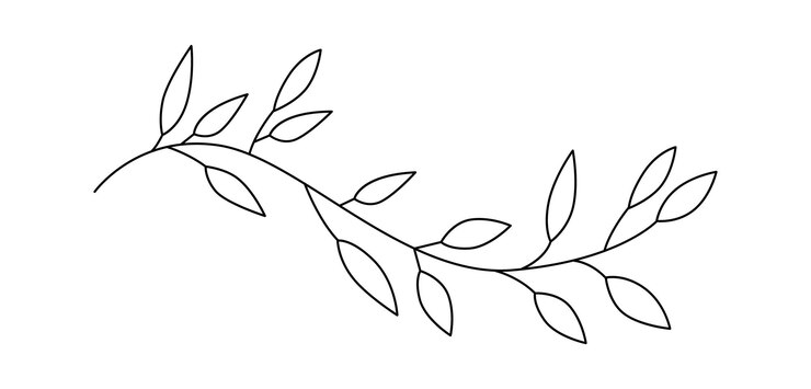 Vettore foglie e fiori line art design floreale contemporaneo