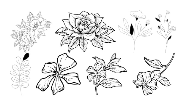 Foglie e fiori