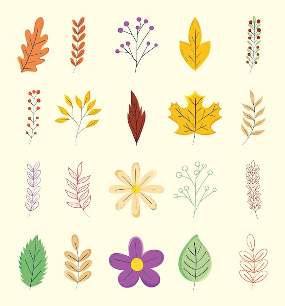 Foglie e fiori