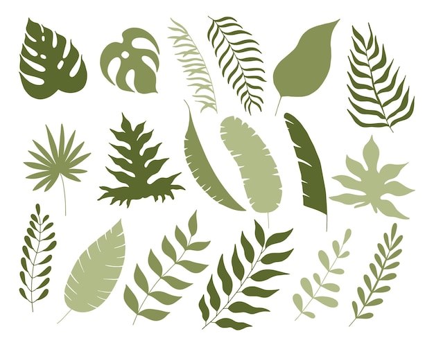 Foglie tropicali in stile piatto Elementi di design a linea nera disegnati a mano vettoriali Esotica botanica estiva