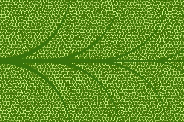 Vettore fondo astratto naturale di struttura della foglia verde fresca
