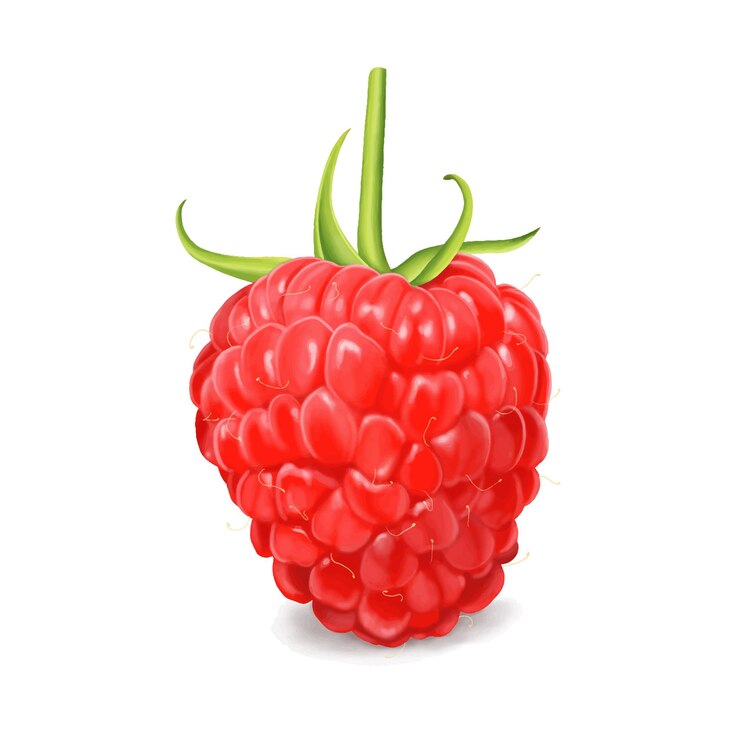 Fondo bianco della pittura della frutta del lampone rosso