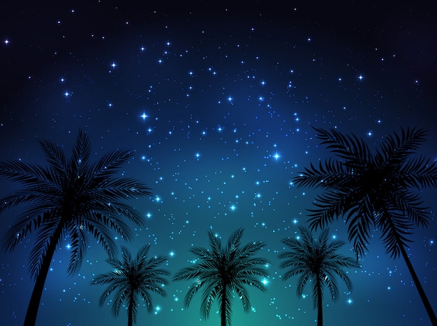 Fondo brillante del cielo stellato di notte con le foglie di palma. Illustrazione