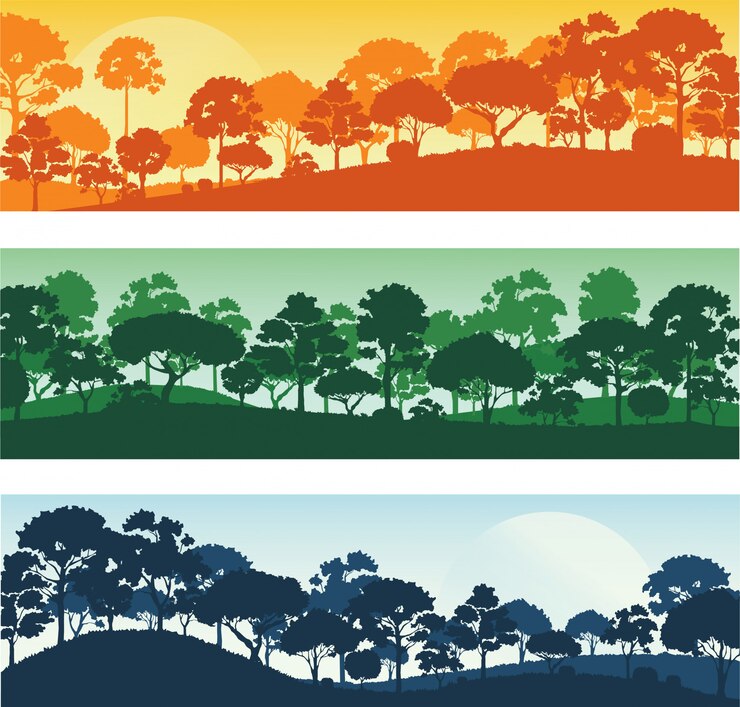 Vettore fondo dell'insegna del modello del paesaggio della foresta