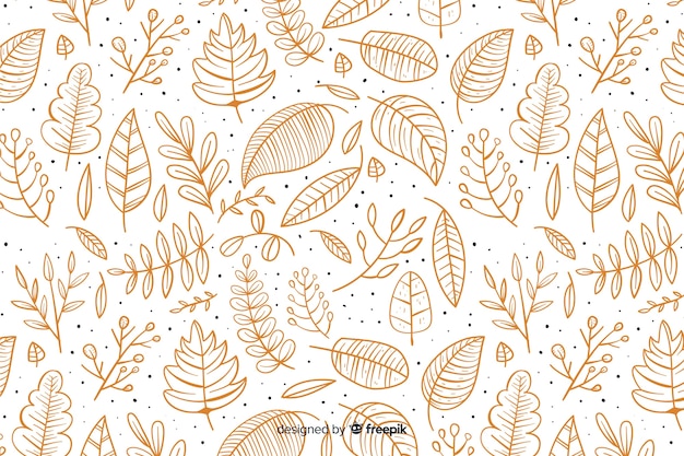 Fondo di autunno disegnato a mano con foglie