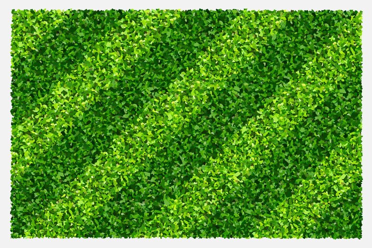 Vettore fondo di campo di erba verde per sport e ricreazione