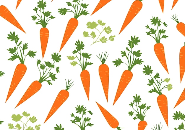 Fondo senza cuciture di vettore del modello della carota