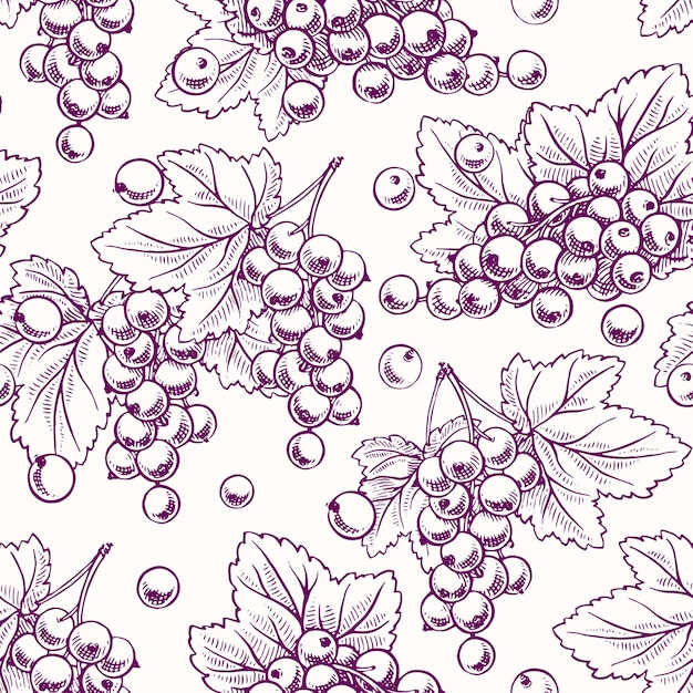 Fondo senza cuciture sveglio con ribes viola maturo e foglie