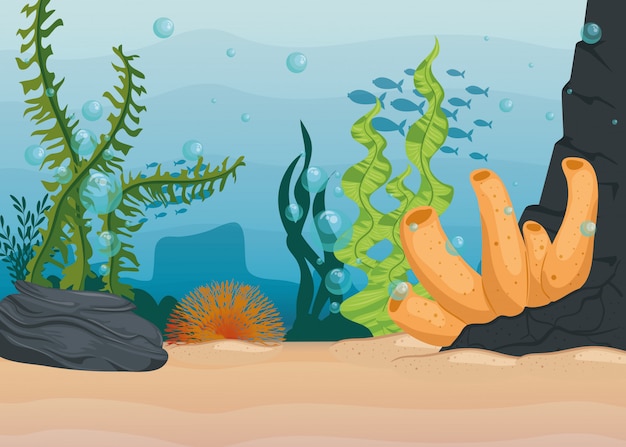 Fondo subacqueo, scogliera sottomarina, oceano con la scena delle alghe marine, concetto del marinaio dell'habitat