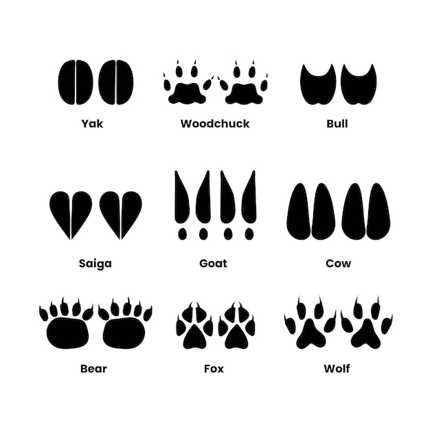 Footprints