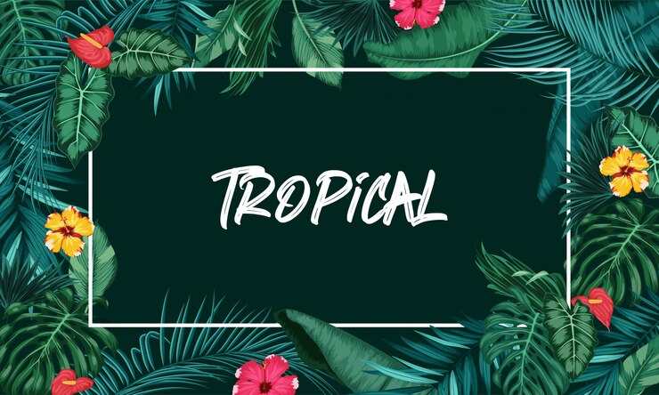 Vettore foresta tropicale con cornice rettangolare su sfondo nero