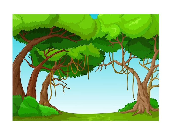 foresta tropicale