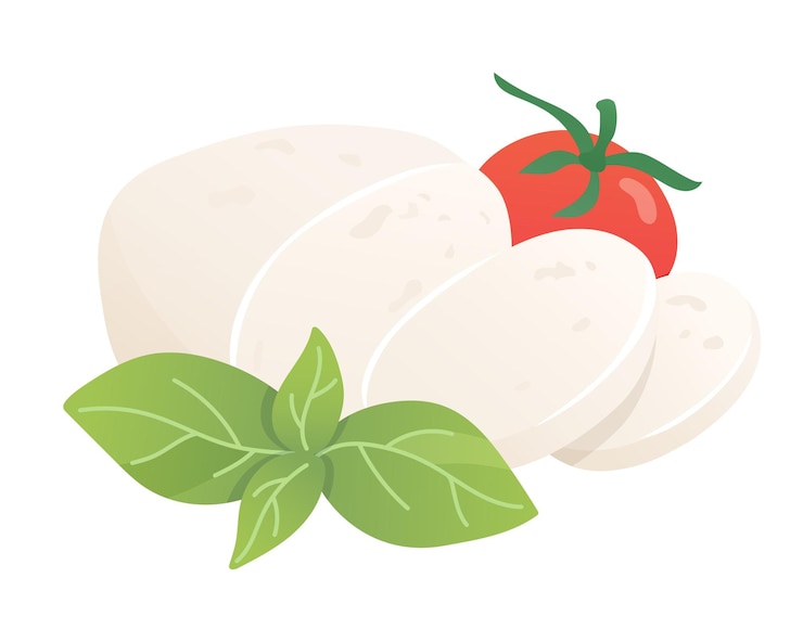 Vettore formaggio mozzarella con pomodoro e basilico formaggio bianco morbido a pezzi alimentazione agricola biologica