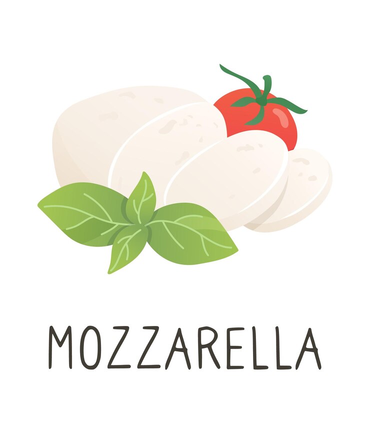 Vettore formaggio mozzarella con pomodoro e basilico pezzo tagliato di formaggio bianco morbido
