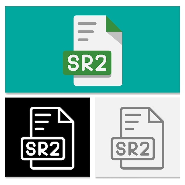 Formato di file di documento Rw2 Collezione completa di icone di formato di file piatto per la progettazione di applicazioni