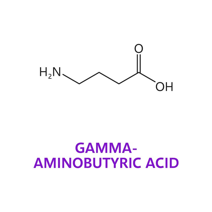 Vettore formula dell'acido gammaaminobutirrico del neurotrasmettitore