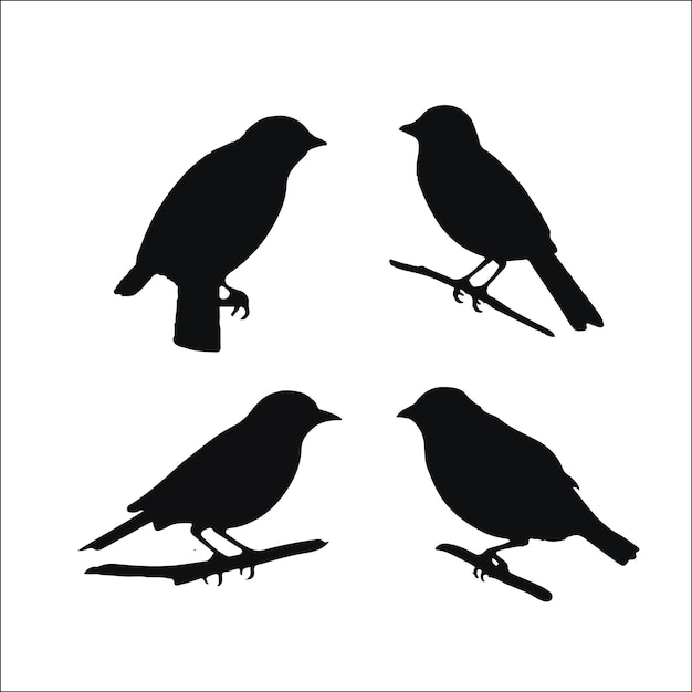 Foto di silhouette di uccelli disegno di collezione vettoriale