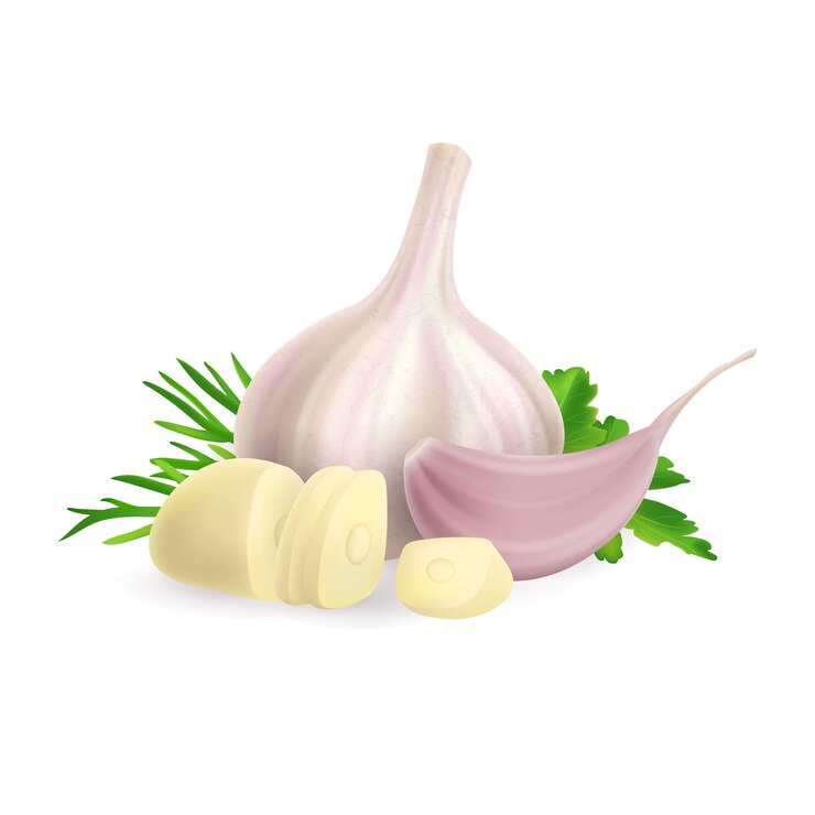 Vettore foto realistica illustrazione della testa e dello spicchio d'aglio tritato. su sfondo bianco clipart della pianta delle spezie ed erbe verdi aneto, prezzemolo